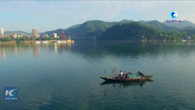 GLOBALink | Aspiring Chinese youths explore business potential in rural revitalization drive